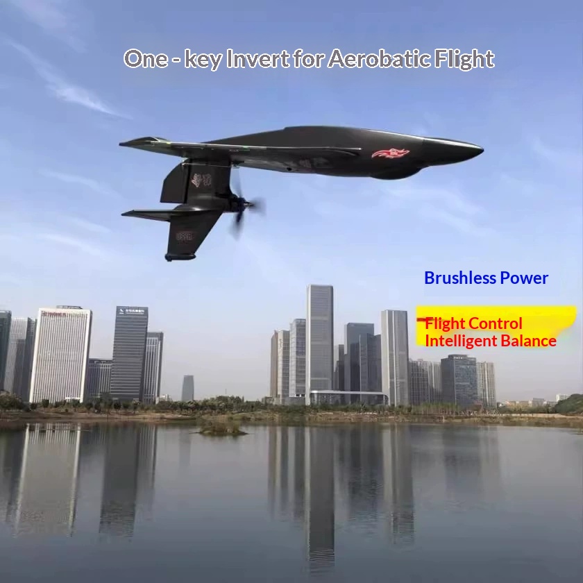 6CH RC Aircraft H650 Raptor Br - Rc Glider Foam Wing ulasan dan harga