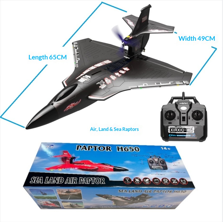 6CH RC Aircraft H650 Raptor Br - Rc Glider Foam Wing ulasan dan harga