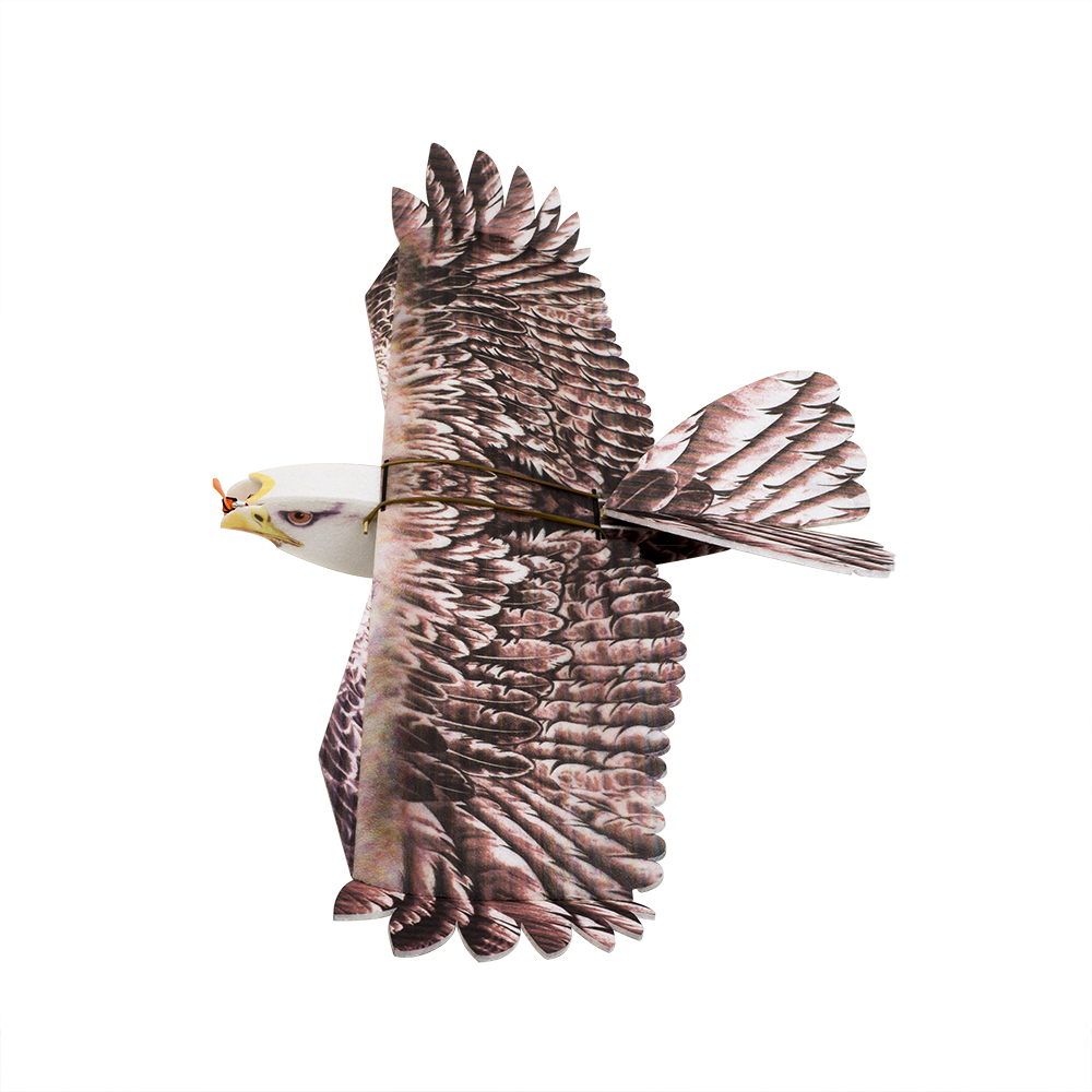 DW Hobby Eagle II EPP Airplane - Rc Hobby Online ulasan dan harga