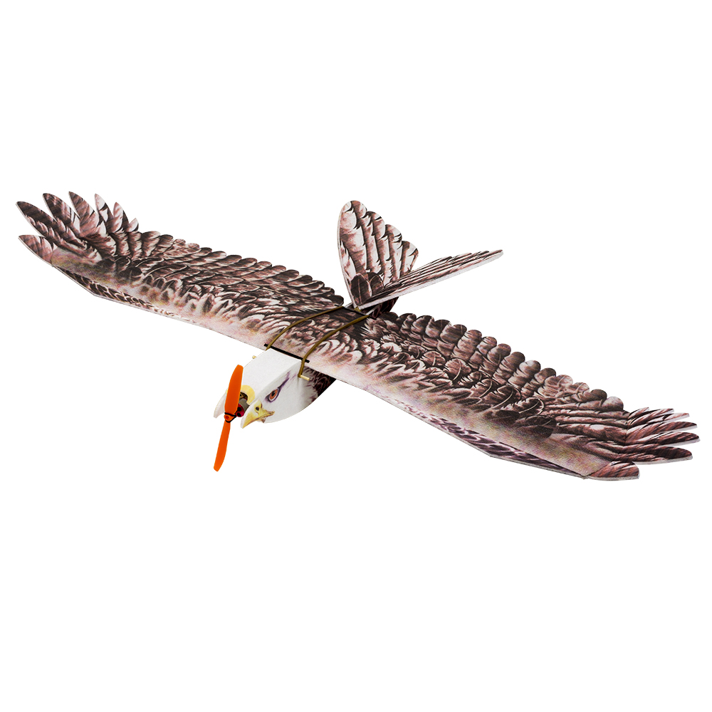 DW Hobby Eagle II EPP Airplane - Rc Hobby Online ulasan dan harga