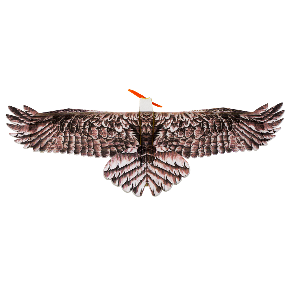 DW Hobby Eagle II EPP Airplane - Rc Hobby Online ulasan dan harga
