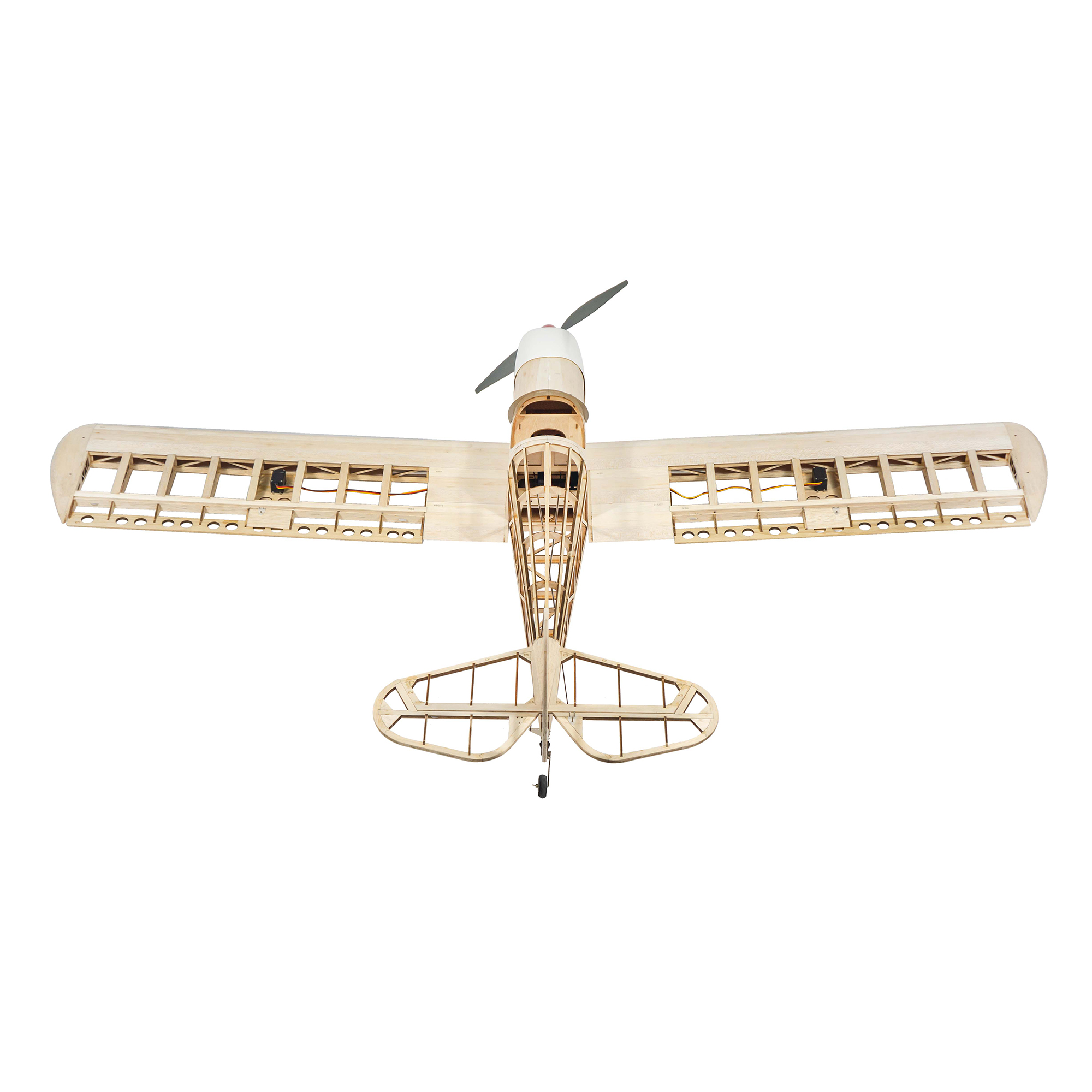 Dancing Wings Hobby 1.6M (63in - Rc Hobby Online ulasan dan harga
